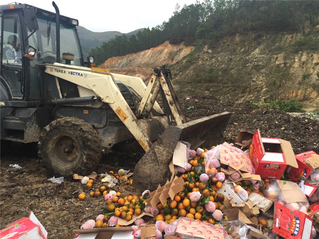 Tiếp tục bắt giữ, tiêu hủy hơn 1,3 tấn hoa quả nhập lậu từ Trung Quốc