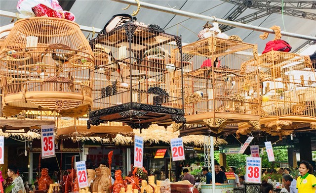 40 chú chim chào mào hót đấu trong ngày khai trương Chợ cảnh thành phố Uông Bí