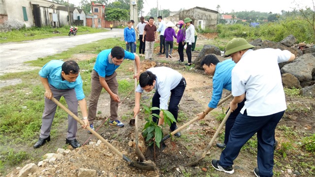 TP Uông Bí: chủ trương trồng cây để tăng tỷ lệ phủ xanh, đảm bảo mỹ quan, môi trường 