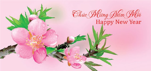 Thư chúc mừng năm mới của Tỉnh ủy, HĐND, UBND, Ủy ban MTTQ tỉnh Quảng Ninh