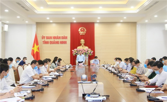 Nghe báo cáo công tác lập quy hoạch tỉnh Quảng Ninh