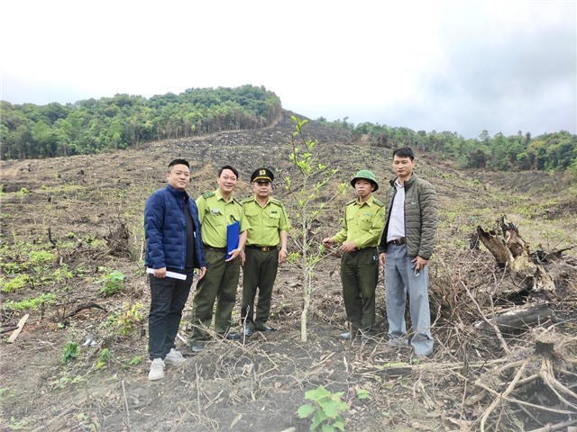 TP Uông Bí: Nỗ lực triển khai kế hoạch trồng rừng bằng cây bản địa