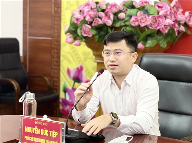 UBND thành phố cho ý kiến vào đề án trồng rừng thông và sim tại khu vực đồi Bình Hương