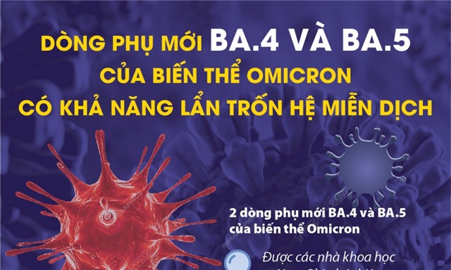 Dòng phụ mới BA.4 và BA.5 của biến thể Omicron có khả năng lẩn trốn hệ miễn dịch
