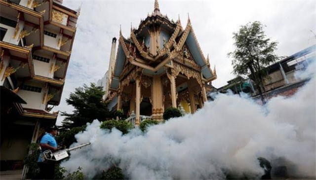 Thái-lan phát hiện hai ca trẻ sơ sinh đầu nhỏ do virus Zika