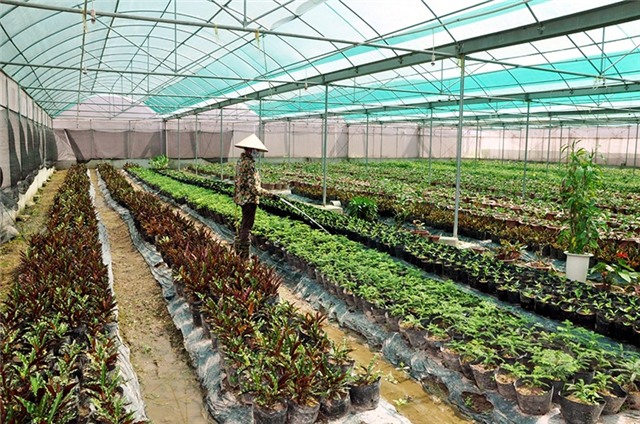 Cuộc thi Sáng tạo dịch vụ tỉnh Quảng Ninh