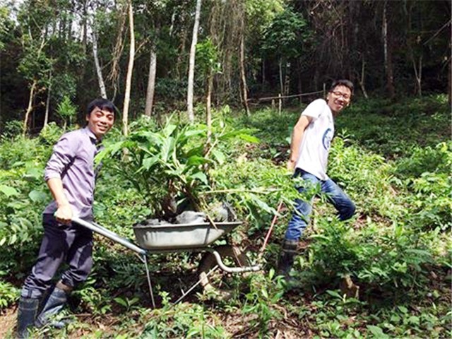 "Thung lũng dược liệu Yên Tử"