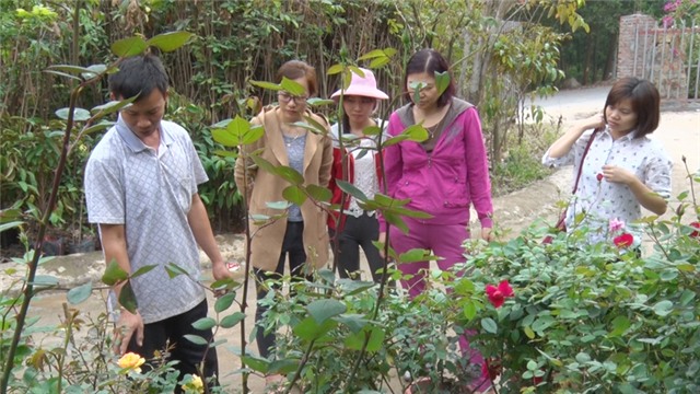 Làm giàu từ nghề trồng hoa, cây cảnh