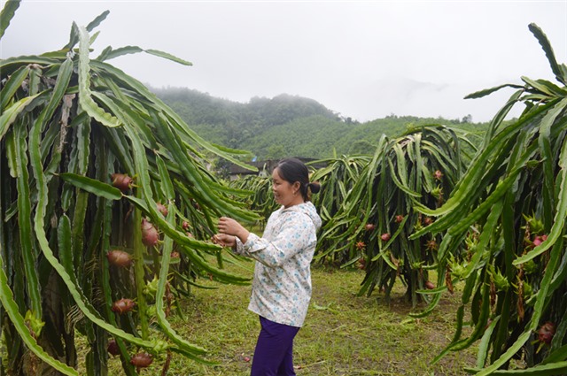 769 tỷ đồng xây dựng NTM