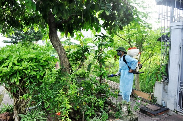 Quảng Ninh có trên 500 ca mắc sốt xuất huyết