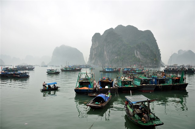 Quảng Ninh đón gió mùa đông bắc