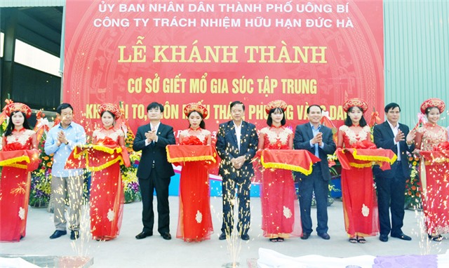 TP Uông Bí: Bức tranh sáng màu