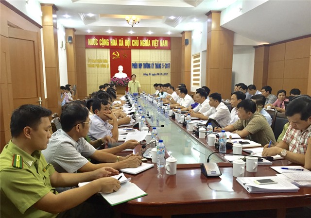 5 tháng đầu năm, nhiều chỉ tiêu kinh tế - xã hội thành phố tăng cao so cùng kỳ