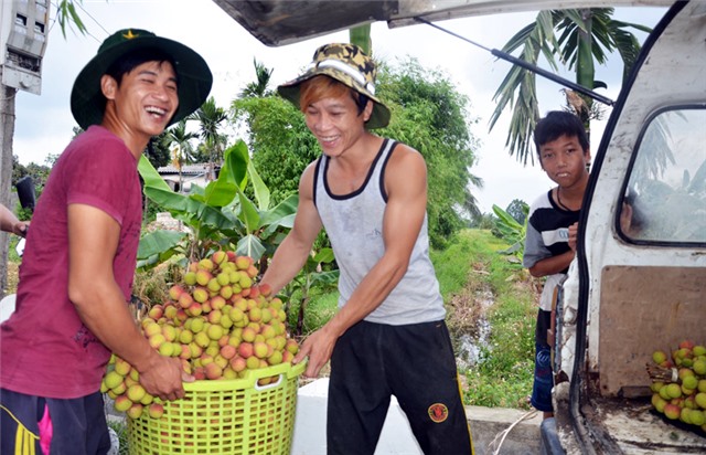 TP Uông Bí: Nhiều chỉ tiêu tăng trưởng mạnh