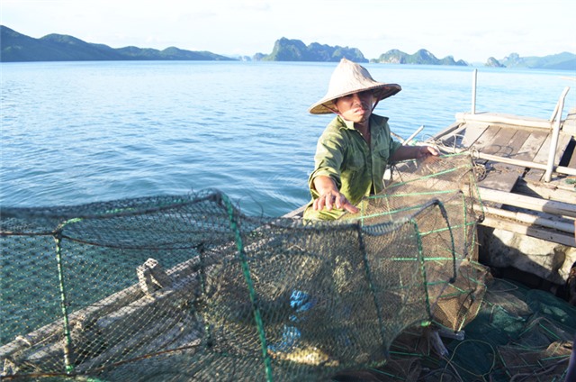 Quảng Ninh: Công bố đường dây nóng bảo vệ nguồn lợi thủy sản