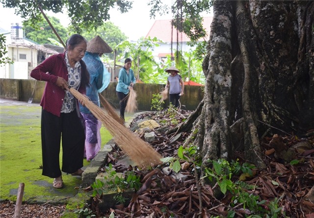 Quảng Ninh: Ghi nhận 157 ca mắc sốt xuất huyết, chưa có trường hợp tử vong