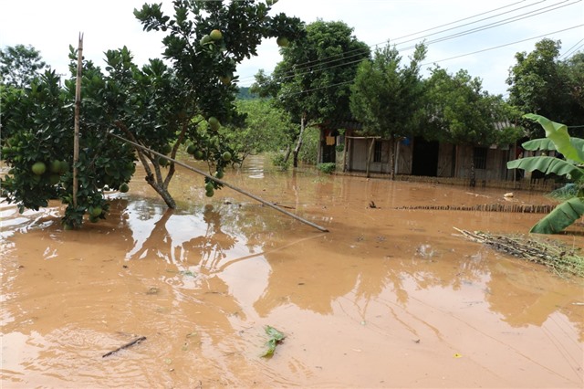 Cảnh báo lũ quét, sạt lở đất trên địa bàn Quảng Ninh