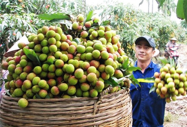 TP Uông Bí phát triển KT-XH 9 tháng: Những kết quả khả quan