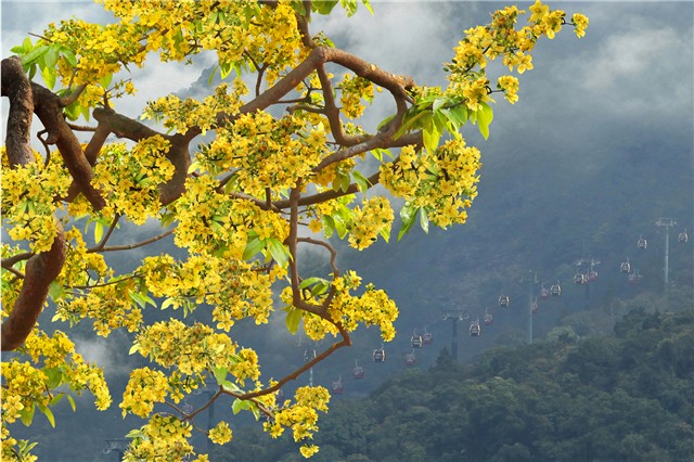 Tác giả Bùi Thị Bích Phương đạt giải Nhất cuộc thi sáng tác ảnh nghệ thuật thành phố Uông Bí năm 2018