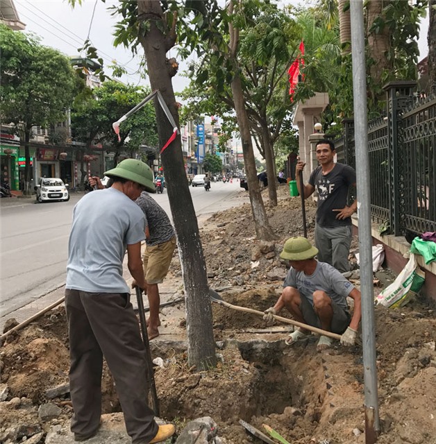 Di chuyển cây xanh phục vụ chỉnh trang tuyến phố Quang Trung