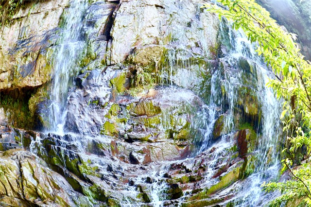 Lựng Xanh - Chốn hoang sơ vẫy gọi