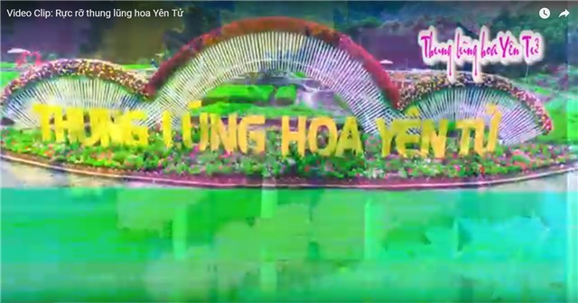 Video Clip: Rực rỡ thung lũng hoa Yên Tử  