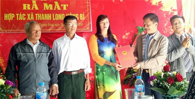 Ra mắt HTX Thanh long Uông Bí 