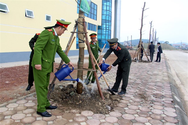 Chỉ đạo về việc tổ chức Tết trồng cây đời đời nhớ ơn Bác Hồ xuân Kỷ Hợi 2019
