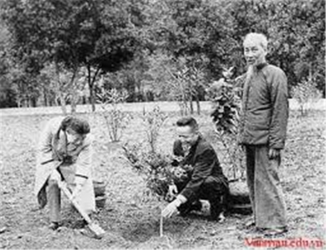 Thành phố sẽ tổ chức Lễ phát động Tết trồng cây nhớ ơn Bác Hồ vào ngày mùng 6 Tết Mậu Tuất