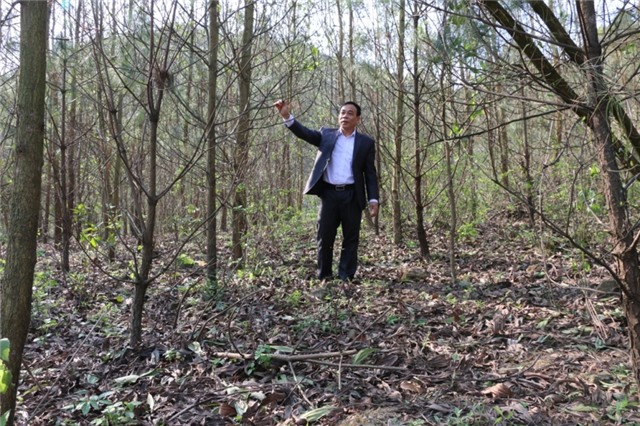 Nỗ lực xanh hóa bãi thải