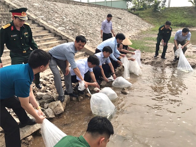 Thành phố thả trên 15.000 con cá giống tái tạo nguồn lợi thủy sản