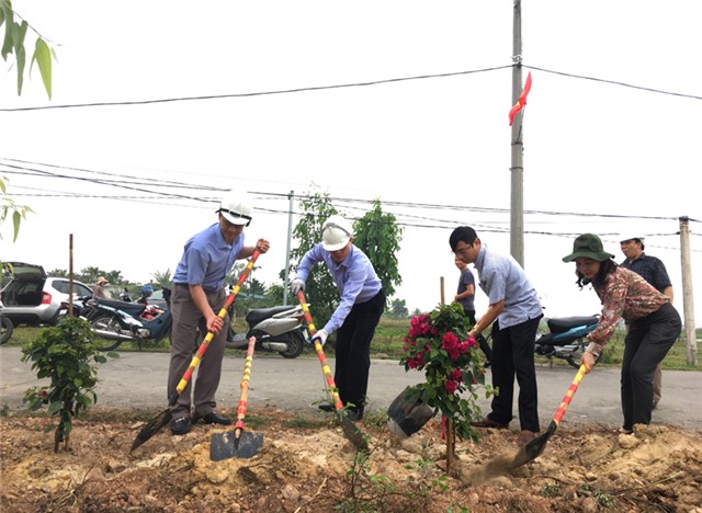 Trồng 500 cây hoa giấy tại xã Điền Công và phường Quang Trung