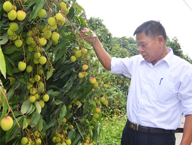 Cầu nối hỗ trợ nông dân Uông Bí