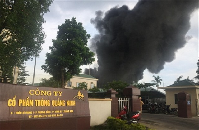 Thông tin ban đầu về vụ cháy tại Công ty CP Thông Quảng Ninh