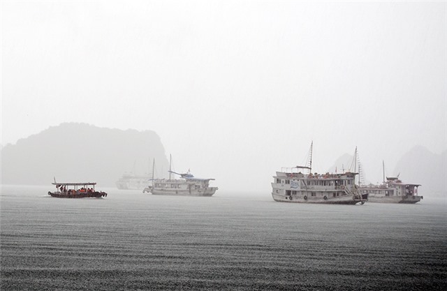 Quảng Ninh có mưa lớn trên diện rộng