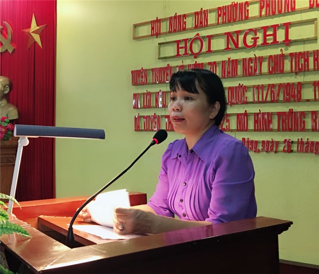 Hội Nông dân phường Phương Đông: Tuyên truyền kỷ niệm 70 năm ngày Chủ tịch Hồ Chí Minh ra lời kêu gọi thi đua ái quốc 