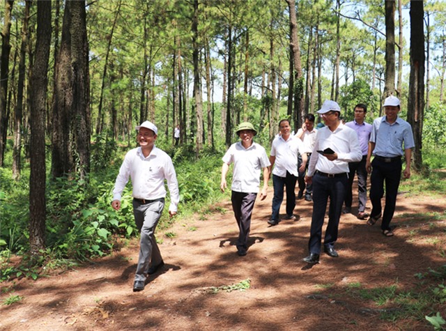 Tạo sức hút riêng trong thu hút đầu tư