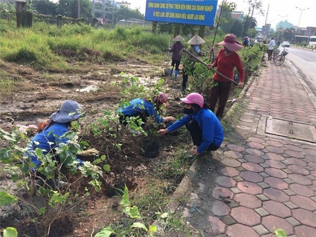 TP.Uông Bí (Quảng Ninh): Nhiều giải pháp bảo vệ môi trường