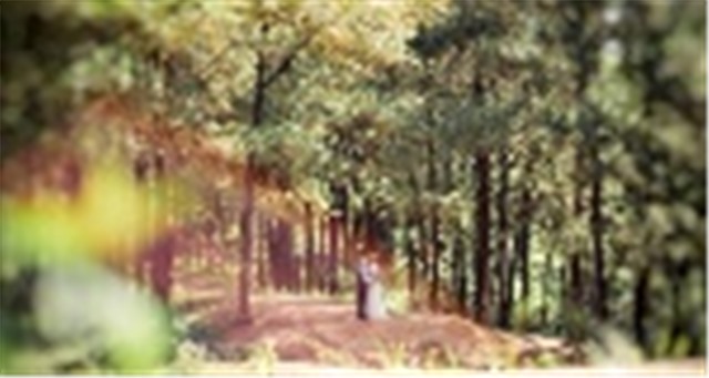 Một chuyến đi - nhiều điểm đến