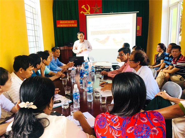 Tập huấn kỹ thuật nuôi gà ri vàng rơm