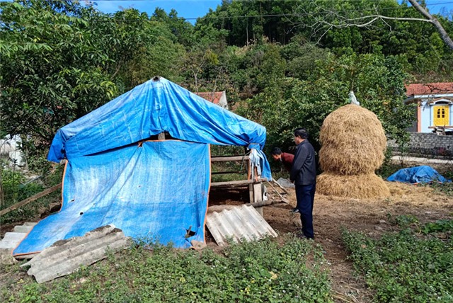 Kiểm tra công tác phòng chống rét cho gia súc