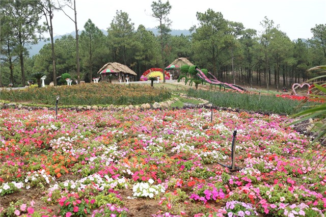 Hồ Yên Trung (Uông Bí) - ngát danh thơm doanh nhân Bạch Thái Bưởi