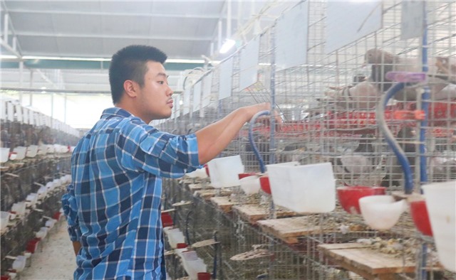 Phát triển chăn nuôi theo hướng an toàn sinh học