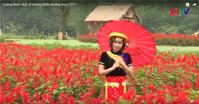 Quảng Ninh: Rực rỡ những thiên đường hoa 