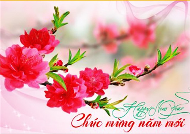 Thư chúc mừng năm mới của Tỉnh ủy, HĐND, UBND, Ủy ban MTTQ tỉnh