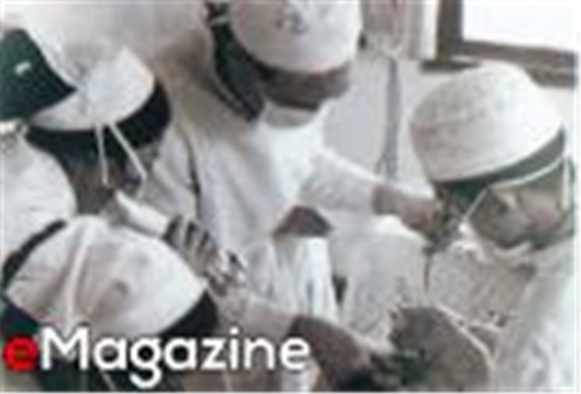 Chuyện về người anh hùng khoác áo Blouse trắng Nguyễn Ngọc Hàm.