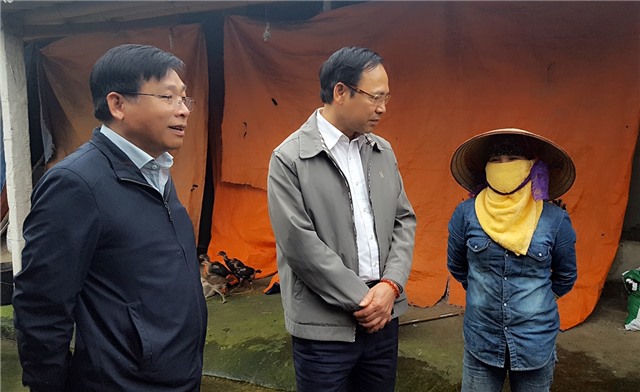 Cho lập chốt kiểm dịch lợn và sản phẩm từ lợn tại TP Uông Bí