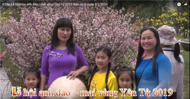 V.Clip Lễ hội hoa anh đào - mai vàng Yên Tử 2019 diễn ra từ ngày 9-3-2019