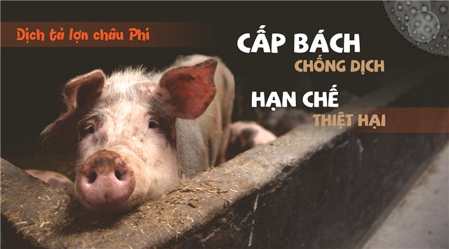 Cấp bách chống dịch hạn chế thiệt hại