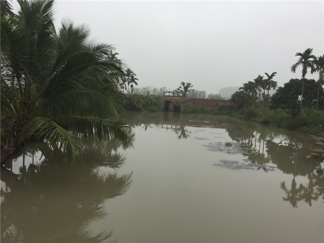 Xác định nguyên nhân ban đầu khiến dịch tả lợn châu Phi xuất hiện tại Đông Triều